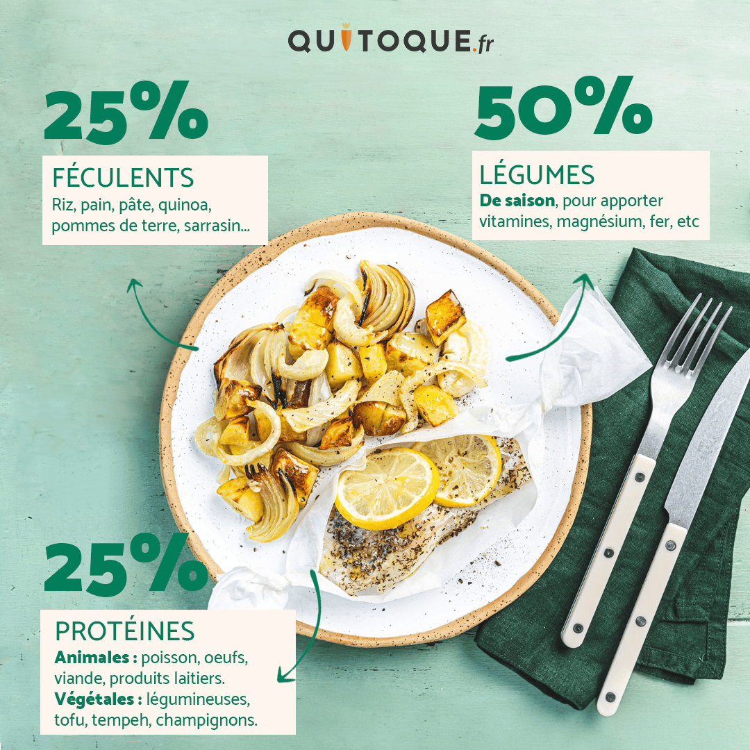 L'assiette idéale avec des légumes des féculents et protéines